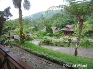 Highland Resort Blick von unserem Bungalow