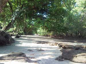 A shady sandy beach, ideal place of stay during the midday heat