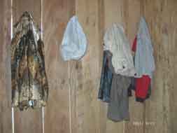 My Wardrobe