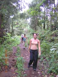 On the jungle path to the volcano Mahawu