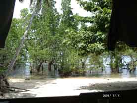 View to the beach (eas side of Bunaken)