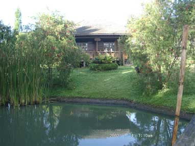 New Volcano Homestay